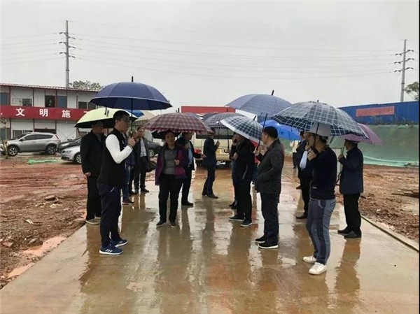 1544075533384525.jpg 39.jpg